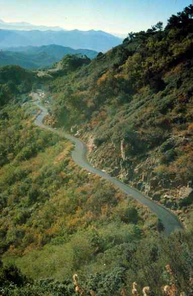 Picture of Road to MMT
